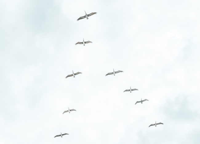 Content-18