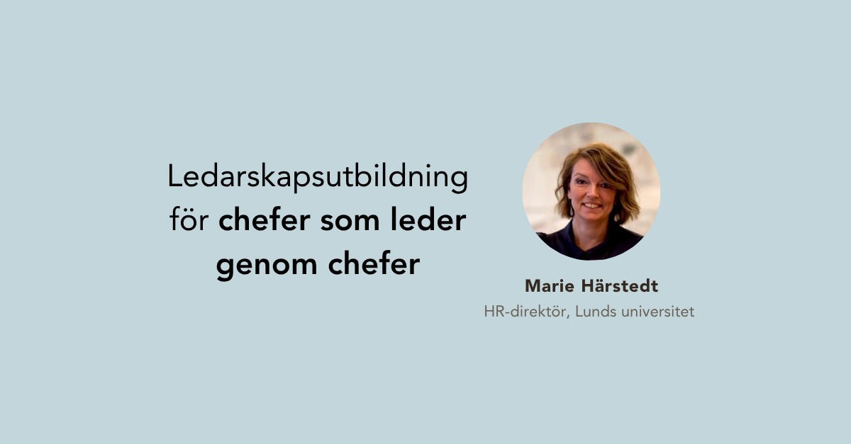 Leda genom chefer kundberättelse